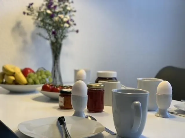 Grosse Moderne Ferienwohnung, Zentrale Ruhige Lage 卡塞尔